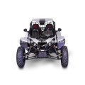 best-seller 2014 1500cc EFI 5MT 4 * 4 engrenagens Buggy, Go kart, Dune Buggy